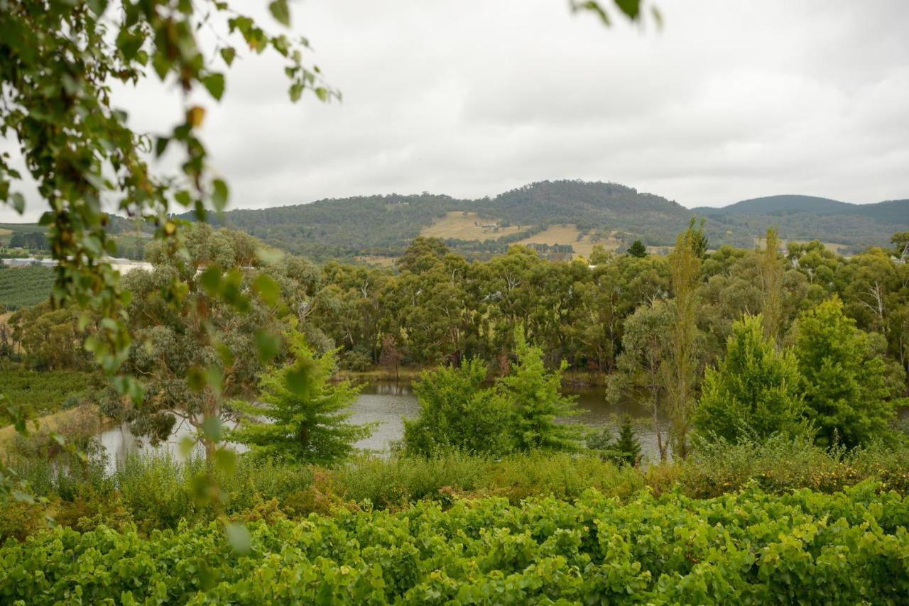 Borrodell Vineyard Hotel ออเรนจ์ ภายนอก รูปภาพ