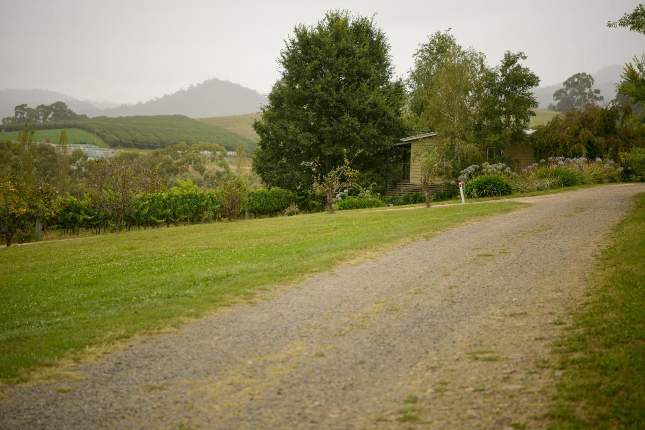 Borrodell Vineyard Hotel ออเรนจ์ ภายนอก รูปภาพ