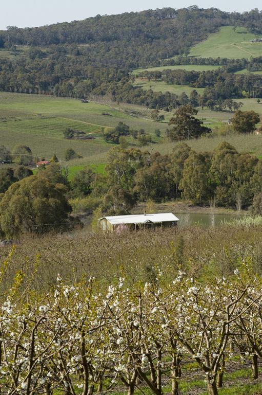 Borrodell Vineyard Hotel ออเรนจ์ ภายนอก รูปภาพ