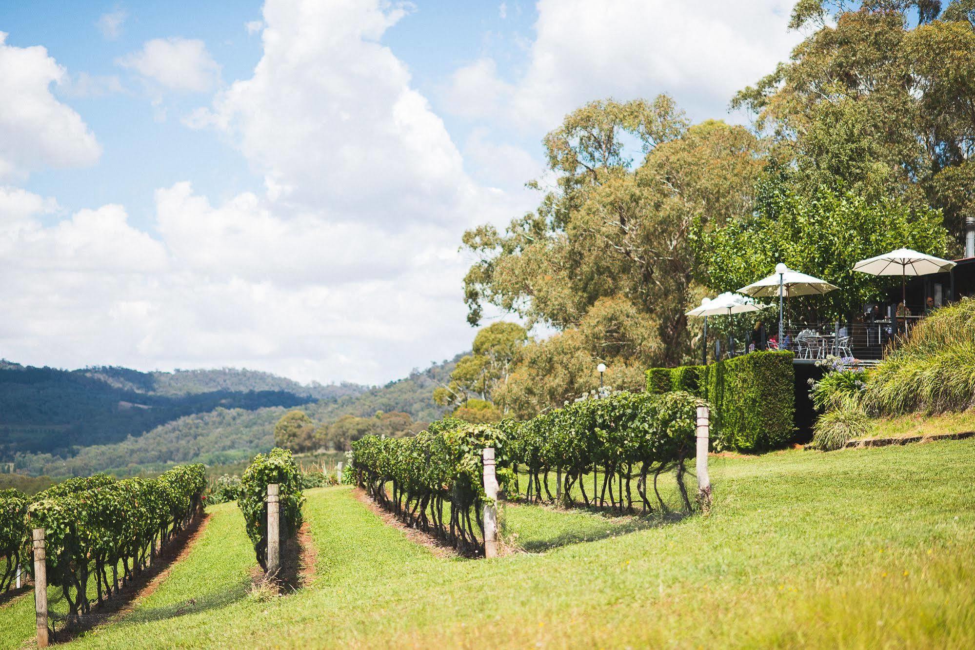 Borrodell Vineyard Hotel ออเรนจ์ ภายนอก รูปภาพ