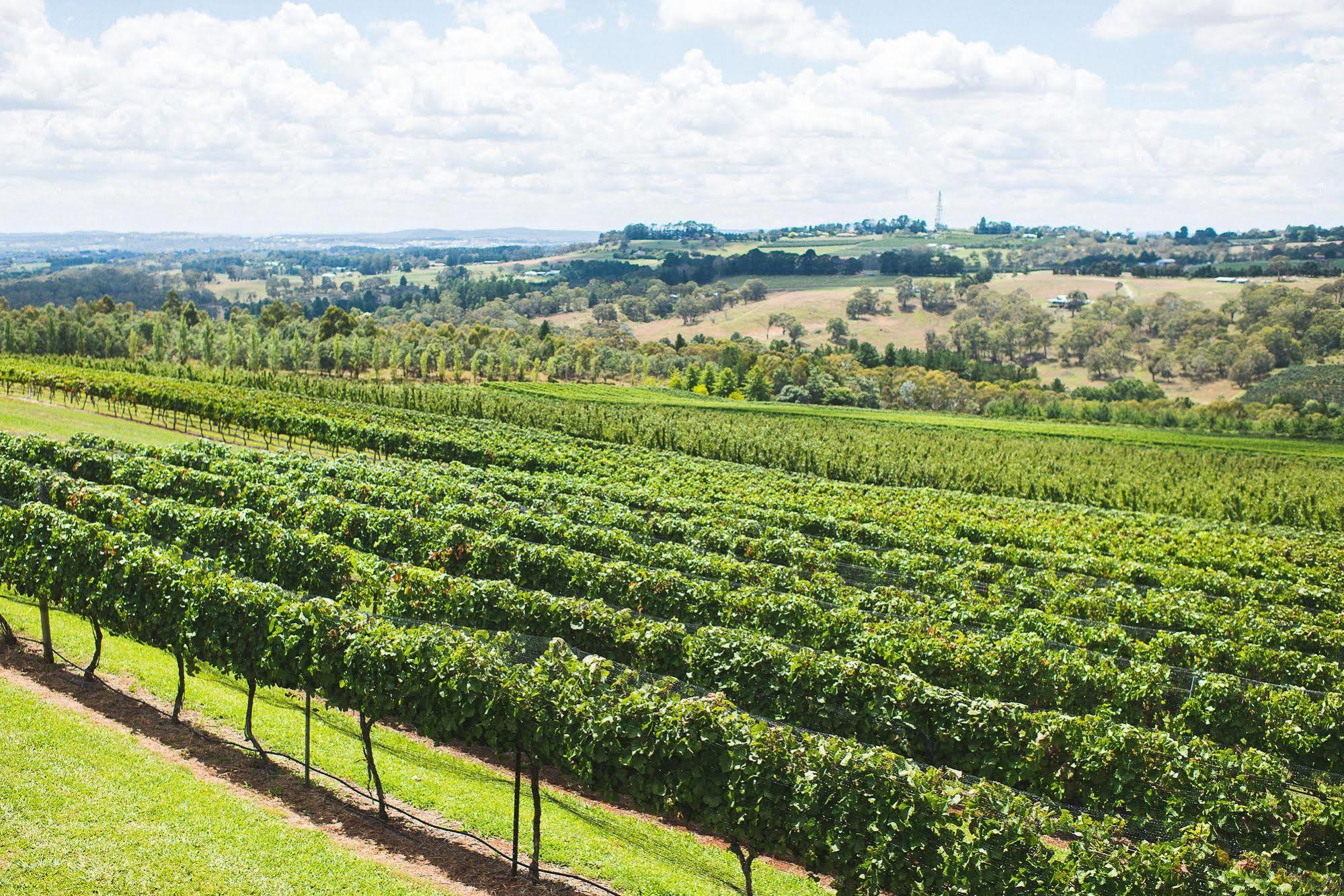Borrodell Vineyard Hotel ออเรนจ์ ภายนอก รูปภาพ